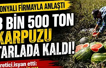 Konyalı firmayla anlaştı, 3 bin 500 ton karpuzu tarlada kaldı!