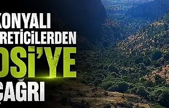 Konyalı üreticilerden DSİ'ye çağrı