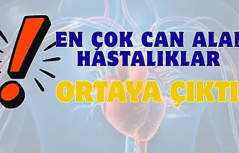 Türkiye'de en sık görülen hastalıklar açıklandı