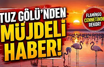 Tuz Gölü'nden müjdeli haber!