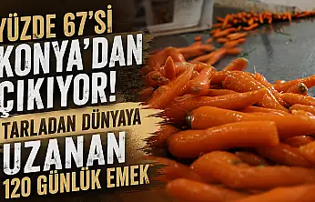 Yüzde 67'si Konya'dan çıkıyor! Tarladan dünyaya uzanan 120 günlük emek