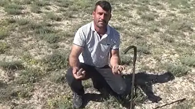 Konya'da toprağın altından servet çıkarıyor