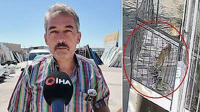 Konya'daki terlik hırsızlığının arkasından bakın ne çıktı!
