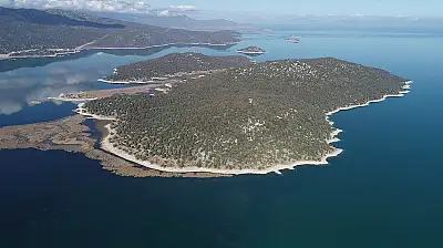 Konya'daki uzmandan korkutan yapay zeka açıklaması