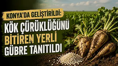 Konya Şekerden pancar üreticisine müjde: Maliyetler düşüyor!