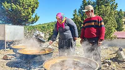 Konya sınırında şifa: Toroslar'da organik harnup pekmezi