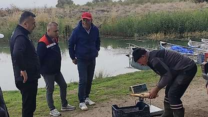 Beyşehir'de balıkçılık faaliyetlerine sıkı denetim