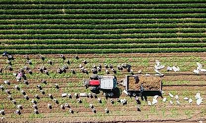 Bakan Yumaklı duyurdu: Kırsal kalkınmaya 12,5 milyar liralık hibe desteği