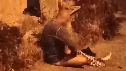 Gece yarısı mahalleyi sokağa döktü: Pompalı saldırı