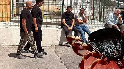Kene kabusu sürüyor! Aynı aileden ikinci can kaybı
