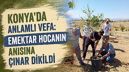 Konya'da anlamlı vefa: Emektar hocanın anısına çınar dikildi