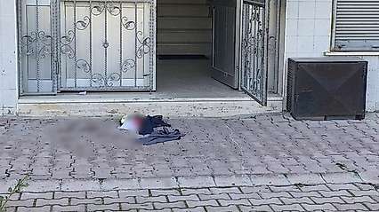 Konya'da kedi tüyü kavgası kanlı bitti