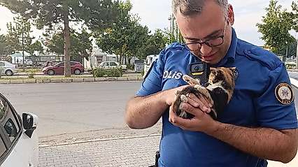 Konya'da otomobilin motoruna giren yavru kedi böyle kurtarıldı