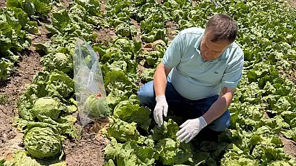 Konya'da pestisit denetimleri yapılıyor