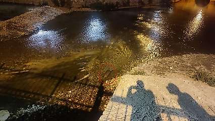 Konya'daki Çarşamba Çayı'nın sürpriz konuğu