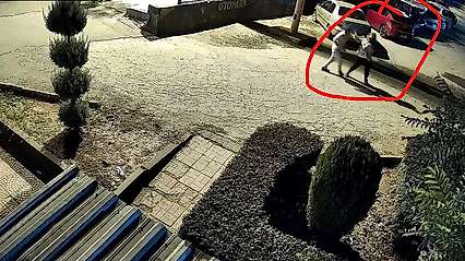 Kucağında çocuğuyla eşinin silahlı saldırısına uğrayan kadın hayatını kaybetti