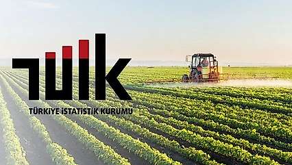 Tarım ürünlerinde dikkat çeken değişim! TÜİK rakamları açıkladı
