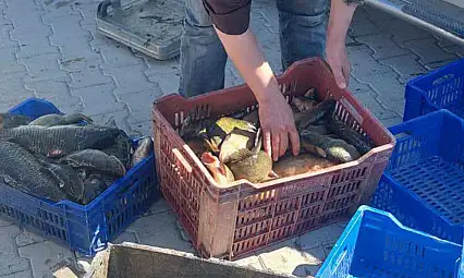 Beyşehir'de su ürünleri sıkı denetim altında