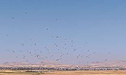 Konya'da kartpostallık görüntü: Kanat çırpışları havadan kaydedildi