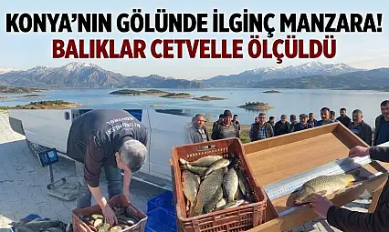 Konya'nın gölünde ilginç manzara! Balıklar cetvelle ölçüldü