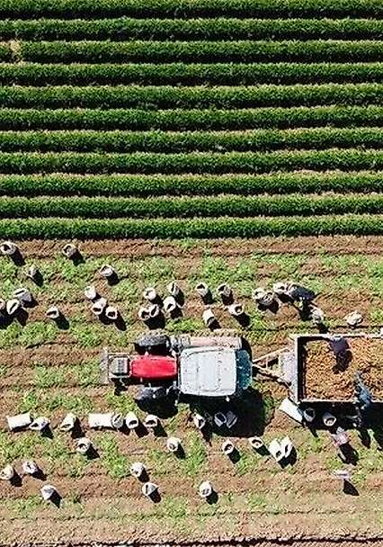 Bakan Yumaklı duyurdu: Kırsal kalkınmaya 12,5 milyar liralık hibe desteği