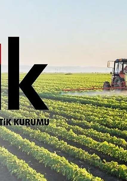 Tarım ürünlerinde dikkat çeken değişim! TÜİK rakamları açıkladı