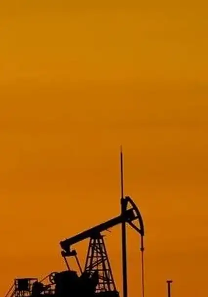 Türkiye'nin yerli petrol üretimi yirmi üç milyon varili aştı
