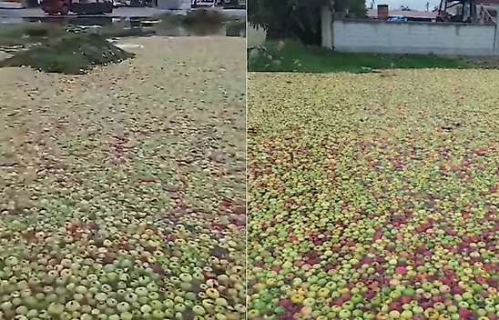 Akşehir'de sağanak yağış pazar alanını vurdu