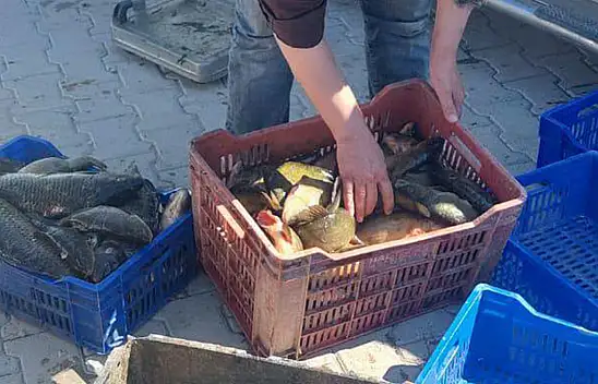 Beyşehir'de su ürünleri sıkı denetim altında