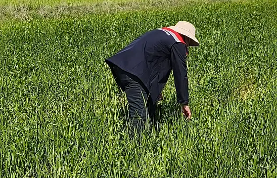 Beyşehir'de tarım arazilerine sıkı denetim