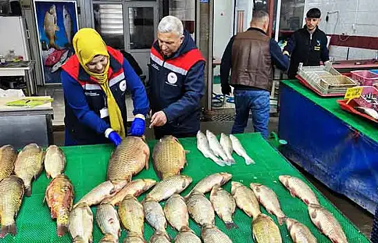 Beyşehir Gölünde su ürünlerine yönelik denetim