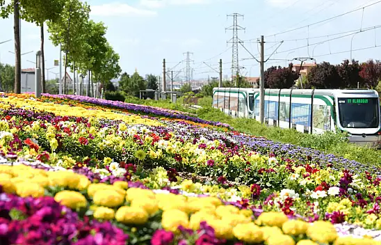 Bu görüntüler Konya'dan! Gören bir daha dönüp bakıyor