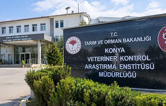 Burdur'da telef olan hayvanların numuneleri Konya'ya gönderildi