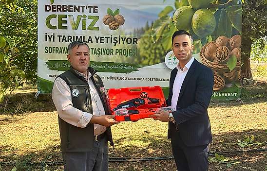 Derbent'te Ceviz Hasat Şenliği yapıldı