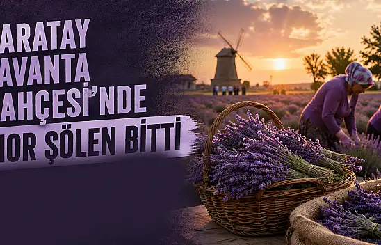 Karatay Lavanta Bahçesi'nde mor şölen bitti, hasat mesaisi başladı