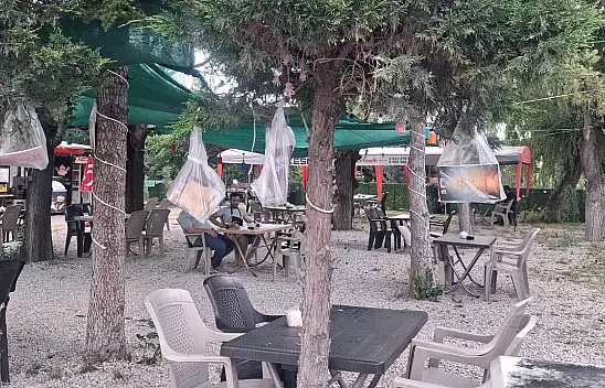 Konya'da ağaçlara kitap asıldı!
