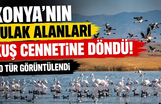 Konya'da binlercesi aynı anda görüntülendi