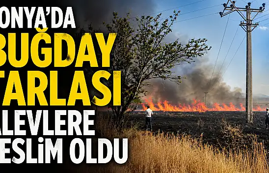 Konya'da buğday tarlası alevlere teslim oldu