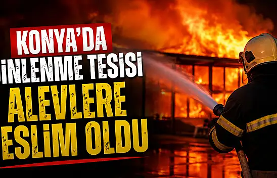 Konya'da dinlenme tesisi alevlere teslim oldu