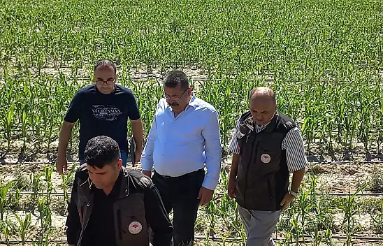 Konya'da dolunun etkilediği alanlar incelendi
