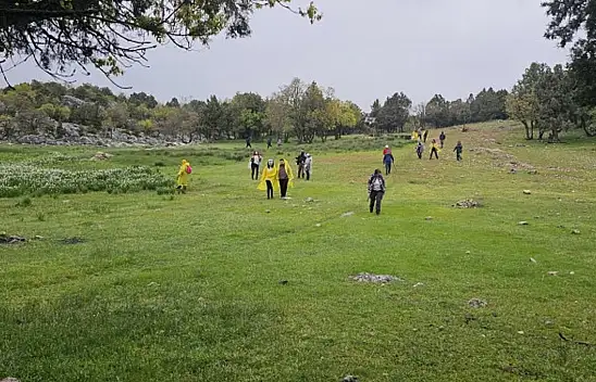 Konya'da endemik bitkiler için yola çıktılar