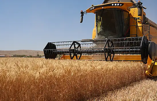 Konya'da hasat sevinci: Rekolte beklentiyi aştı!
