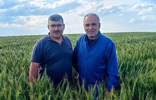Konya'da hububat üreticilerine önemli uyarı!
