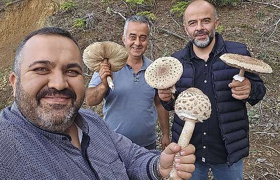 Konya'da ilginç mantar hasadı: O anlar sosyal medyada paylaşıldı