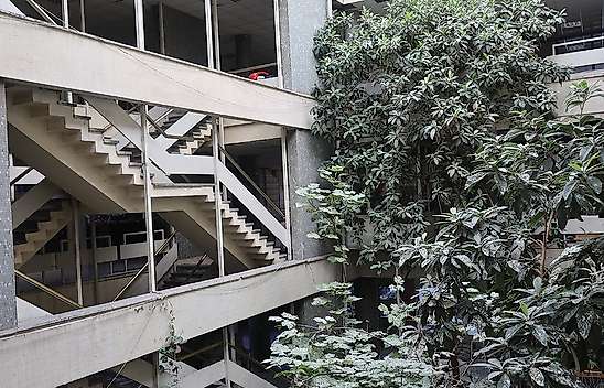 Konya'da iş hanının içindeki ağaçlar görenleri şaşırtıyor