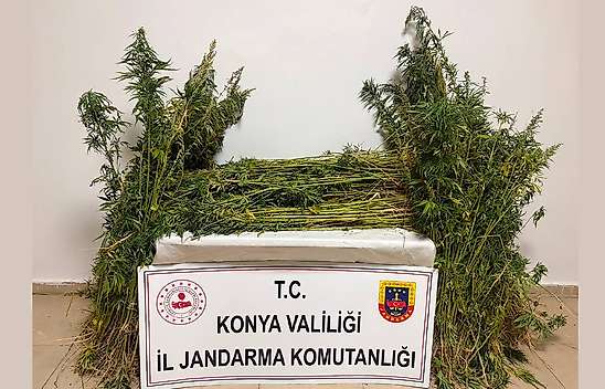 Konya'da jandarmadan zehir tacirlerine geçit vermedi!
