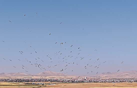 Konya'da kartpostallık görüntü: Kanat çırpışları havadan kaydedildi
