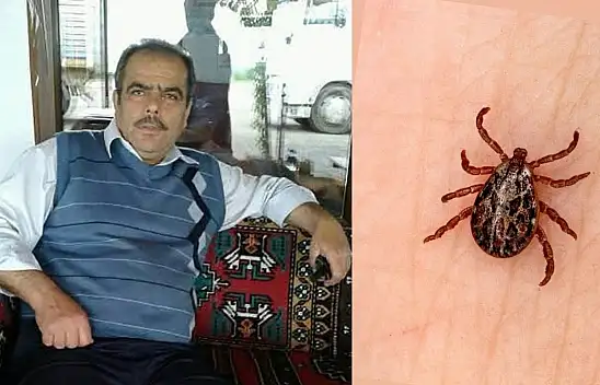 Konya'da kene ısırığı ile hayatını kaybetti