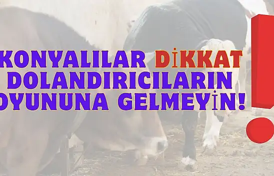 Konya'da kurbanlık uyarısı!