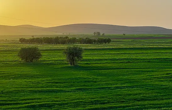 Konya'da maliyetler düştü çiftçinin yüzü güldü! Enflasyon müjdesi!